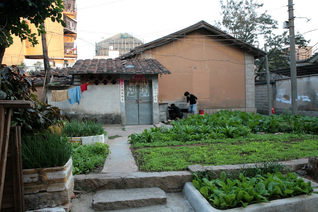 ps0443 by tom@hk Fujian photo