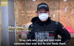 Animali isolati vengono salvati a Wuhan