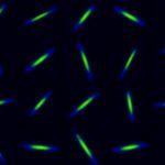 Immagine: Università di Scienza e Tecnologia della Cina