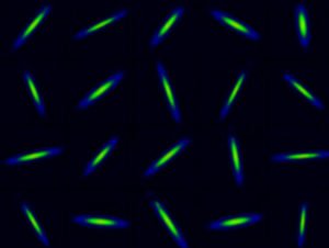 Immagine: Università di Scienza e Tecnologia della Cina